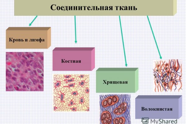 Ссылка омг на telegra ph